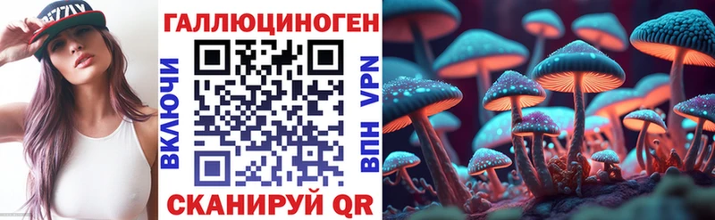 Галлюциногенные грибы Psilocybe  Новое Девяткино 